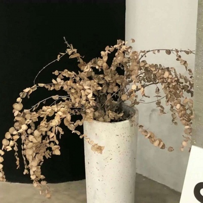 Furry插画色彩搭配FurryQQ群